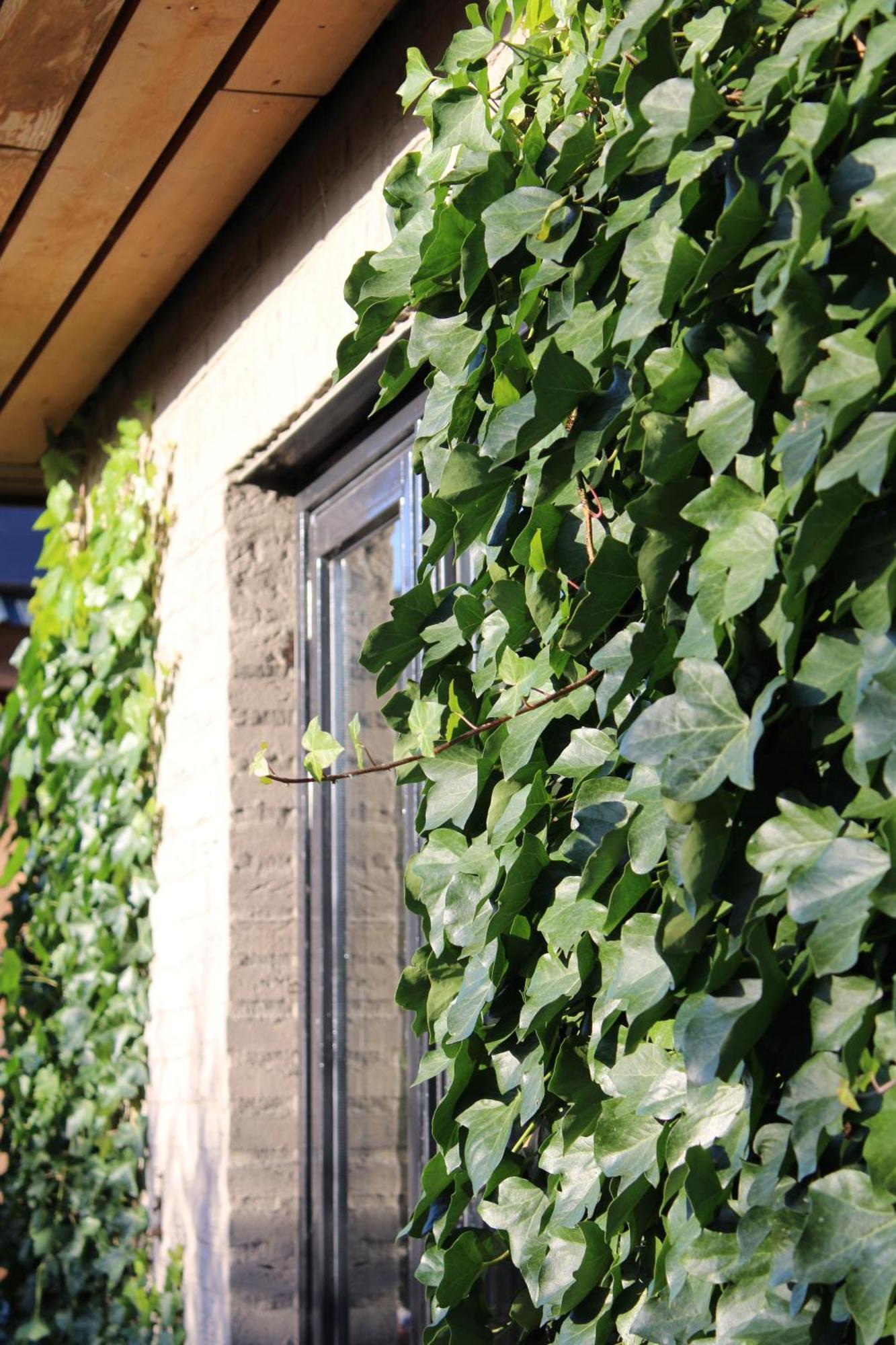 Bed and Breakfast Tiny House In De Boomgaard Stad aan 't Haringvliet Esterno foto